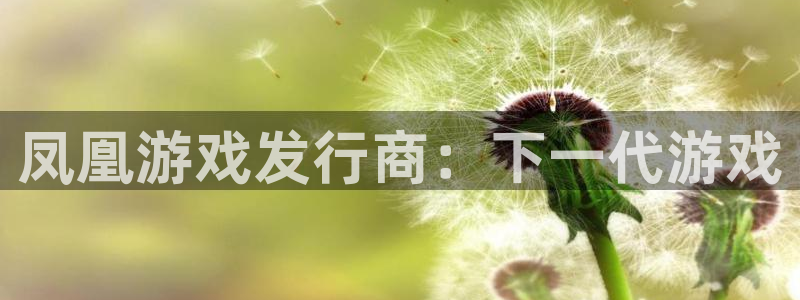 作者蓝狮子小说：凤凰游戏发行商：下一代游戏
