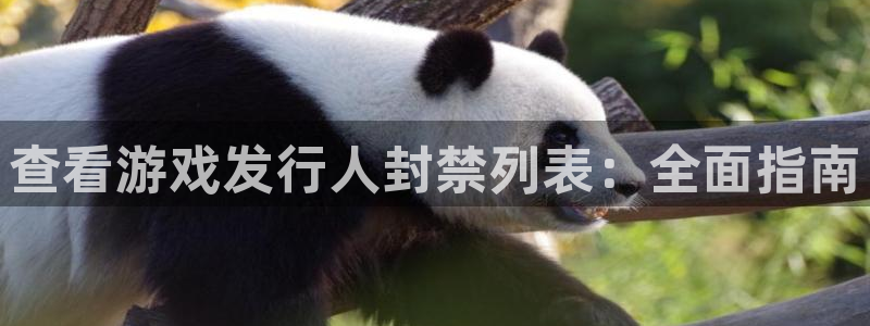 蓝狮在线注册方法视频教程：查看游戏发行人封禁列表：全面指南