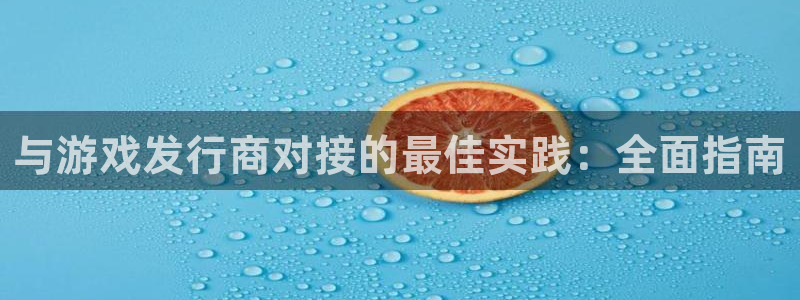 广州蓝狮网络科技有限公司怎么样：与游戏发行商对接的最佳实践：全面指南
