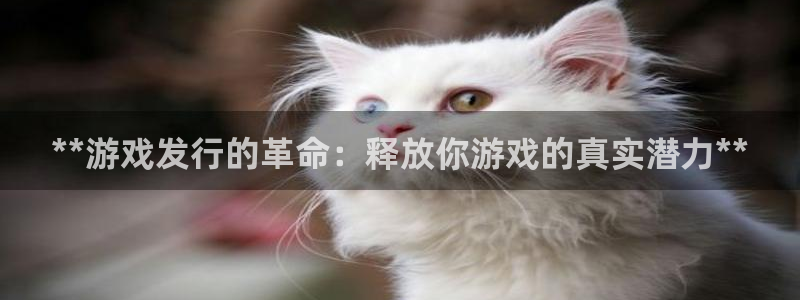 蓝狮电子商务有限公司电话：**游戏发行的革命：释放你游戏的真实潜力**