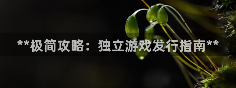 蓝狮在线注册平台合法吗?：**极简攻略：独立游戏发行指南**
