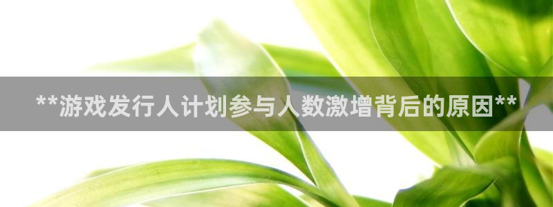蓝狮工坊：**游戏发行人计划参与人数激增背后的原因**