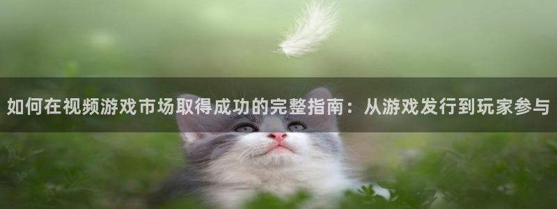 蓝狮子文化创意有限公司：如何在视频游戏市场取得成功的完整指南：从游戏发行到玩家参与