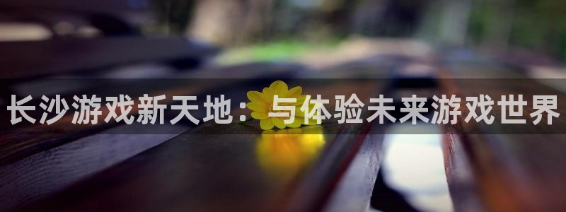 蓝狮在线登录注册不了怎么办：长沙游戏新天地：与体验未来游戏世界