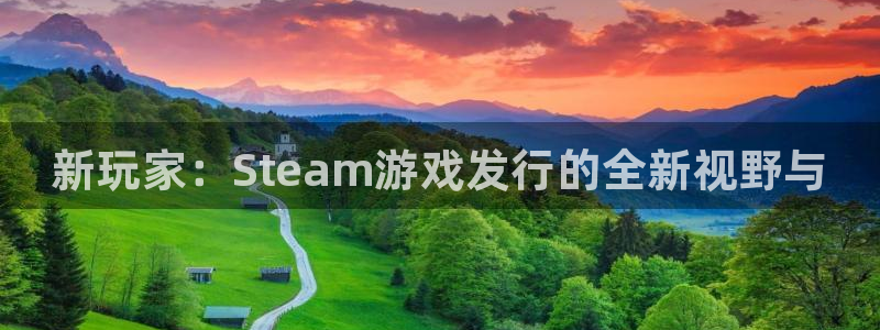 蓝狮在线注册地址在哪里查：新玩家：Steam游戏发行的全新视野与