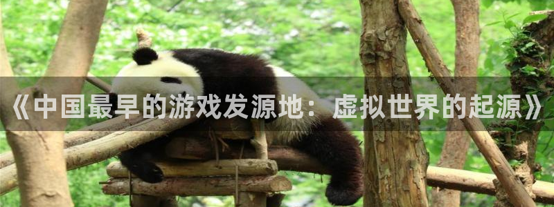 广东蓝狮电子科技有限公司