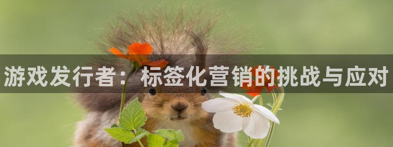 蓝狮子教育科技(江门)有限公司