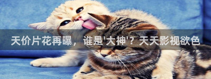 小小影视小小影视下载：天价片花再曝，谁是\'大神\'？天天影视欲色
