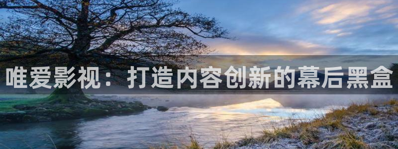 小小影视为啥不能看了：唯爱影视：打造内容创新的幕后黑盒