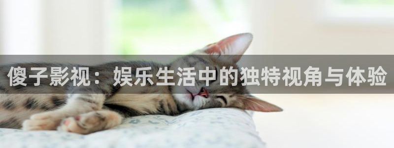 小小影院下载：傻子影视：娱乐生活中的独特视角与体验