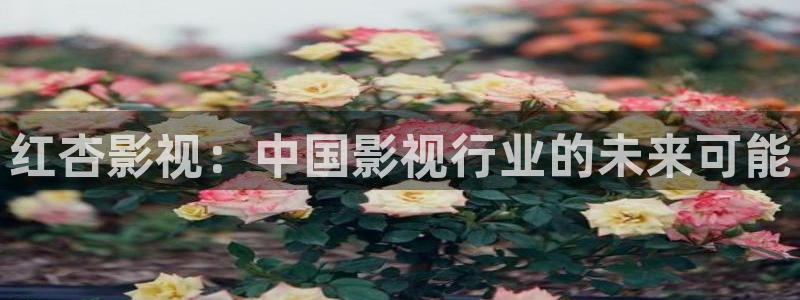 小小影视下载正版：红杏影视：中国影视行业的未来可能
