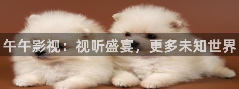 小小影视平板版：午午影视：视听盛宴，更多未知世界