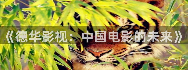 下载小小影视官网：《德华影视：中国电影的未来》