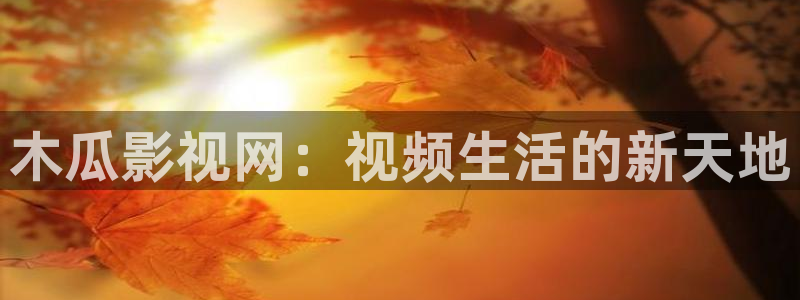 小小影视3.2.0免费版：木瓜影视网：视频生活的新天地