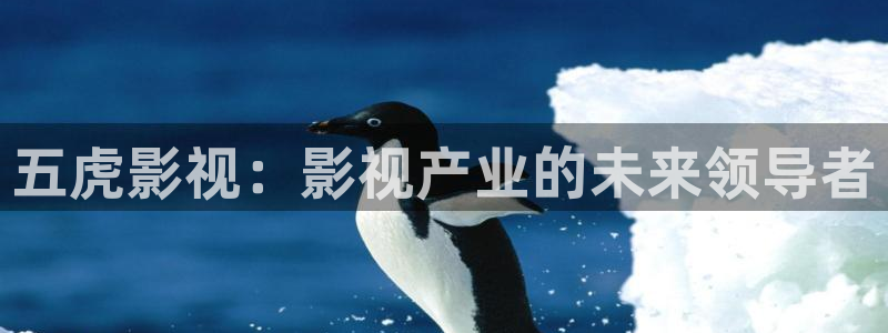 如懿传小小影视：五虎影视：影视产业的未来领导者