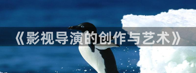 小小影视最新版本免费下载：《影视导演的创作与艺术》