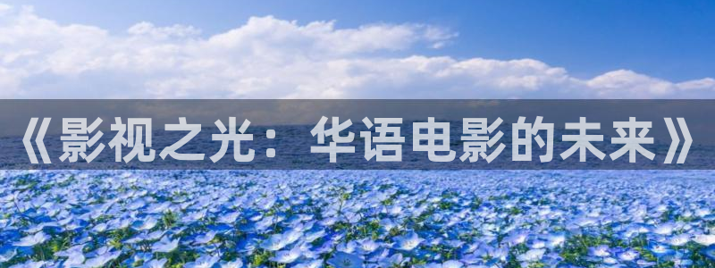 小小影视最新版永久版：《影视之光：华语电影的未来》