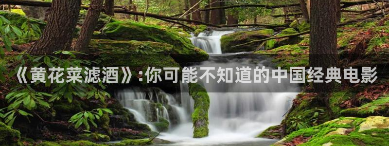 小小影剧：《黄花菜滤酒》:你可能不知道的中国经典电影