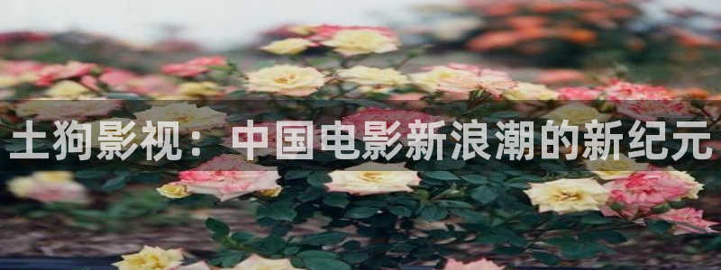 小小影视网在线观看：土狗影视：中国电影新浪潮的新纪元