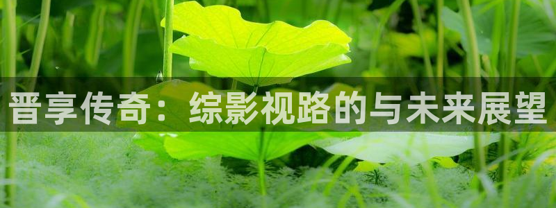 小小影视在线观看免费播放电视剧：晋享传奇：综影视路的与未来展望